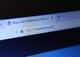 WordPress website in the address bar of a browser.