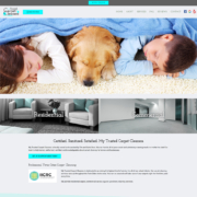 Custom Trustdyx website design for My Trusted Carpet Cleaner home page in Ham Lake, MN