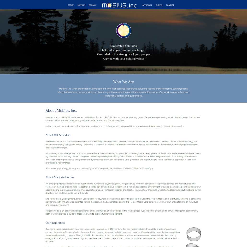 Custom Trustdyx website design for Mobius Inc home page in Minnesota