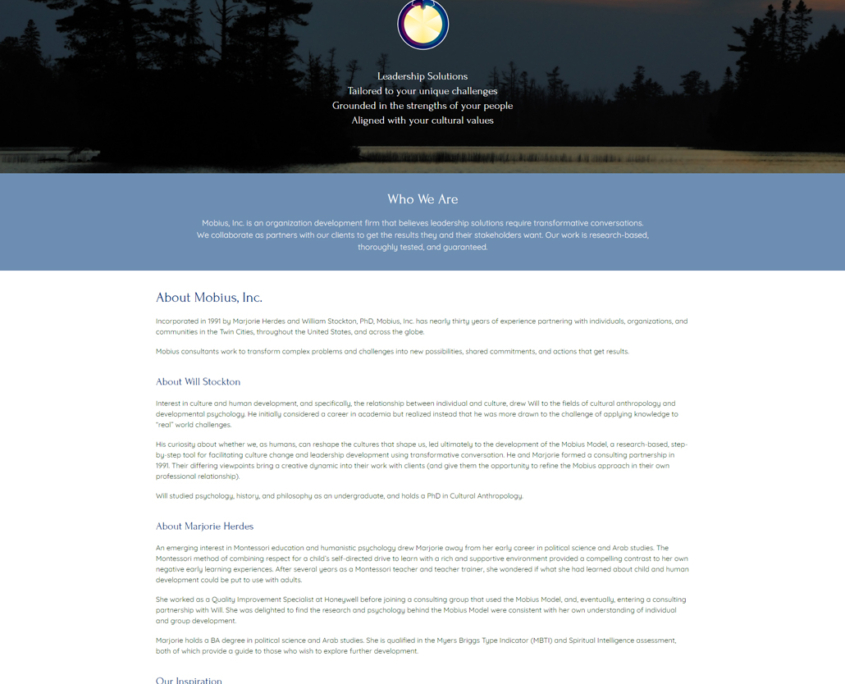 Custom Trustdyx website design for Mobius Inc home page in Minnesota