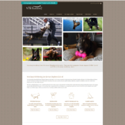 Custom Trustdyx website design for Vom Banach K9 home page in Port Orchard, WA