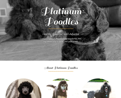 Custom Trustdyx website design for Platinum Poodles home page in St. Augusta, MN