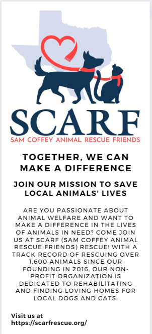 Sam Coffey Animal Rescue Friends Rack Card