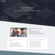 Custom Trustdyx website design for Trustdyx home page in Minnesota